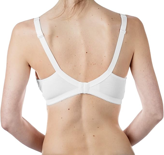 aed8e3c2b3408fdbf9adcc0067d0ab8f.png